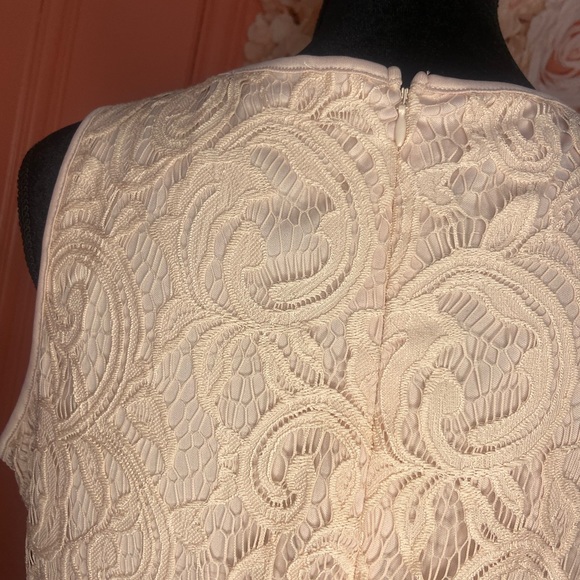 adriannapapell blouse - Picture 4 of 4